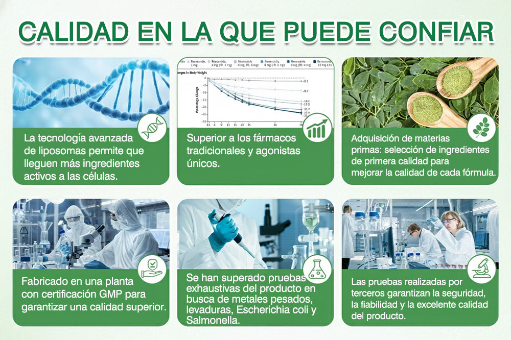 🔥Conforme a la normativa aplicable en España y en la Unión Europea | GFOUK® Moringa · Berberina × NAD+ Parche Avanzado de Nanomicroagujas 10 en 1 | Respaldado por la ciencia | Fórmula 10 en 1 | Resultados visibles en 7 días ✅