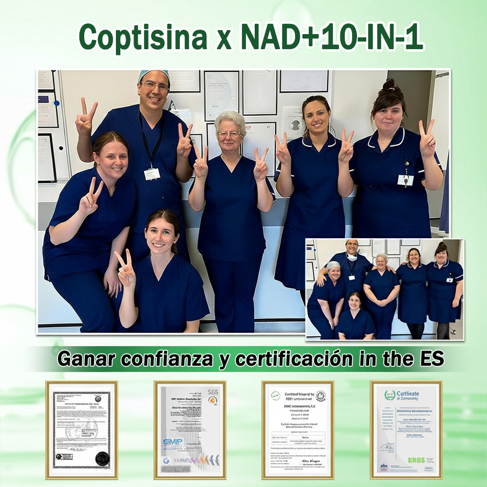 🔥Conforme a la normativa aplicable en España y en la Unión Europea |  GFOUK® Moringa · Berberina × NAD+ Parche Avanzado de Nanomicroagujas 10 en 1 |  Respaldado por la ciencia | Fórmula 10 en 1 |  Resultados visibles en 7 días ✅