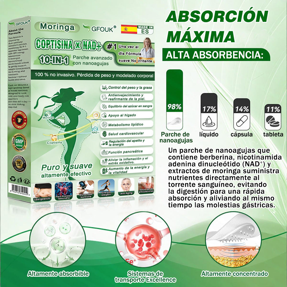🔥Conforme a la normativa aplicable en España y en la Unión Europea |  GFOUK® Moringa · Berberina × NAD+ Parche Avanzado de Nanomicroagujas 10 en 1 |  Respaldado por la ciencia | Fórmula 10 en 1 |  Resultados visibles en 7 días ✅