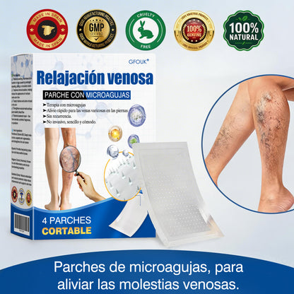 🇪🇸👨‍⚕️✅Parche de microagujas GFOUK® VeinEase para el cuidado de las venas⚡Alivio instantáneo, resultados a largo plazo
