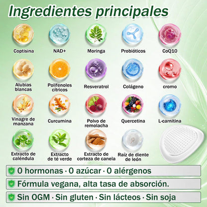 🔥Conforme a la normativa aplicable en España y en la Unión Europea |  GFOUK® Moringa · Berberina × NAD+ Parche Avanzado de Nanomicroagujas 10 en 1 |  Respaldado por la ciencia | Fórmula 10 en 1 |  Resultados visibles en 7 días ✅