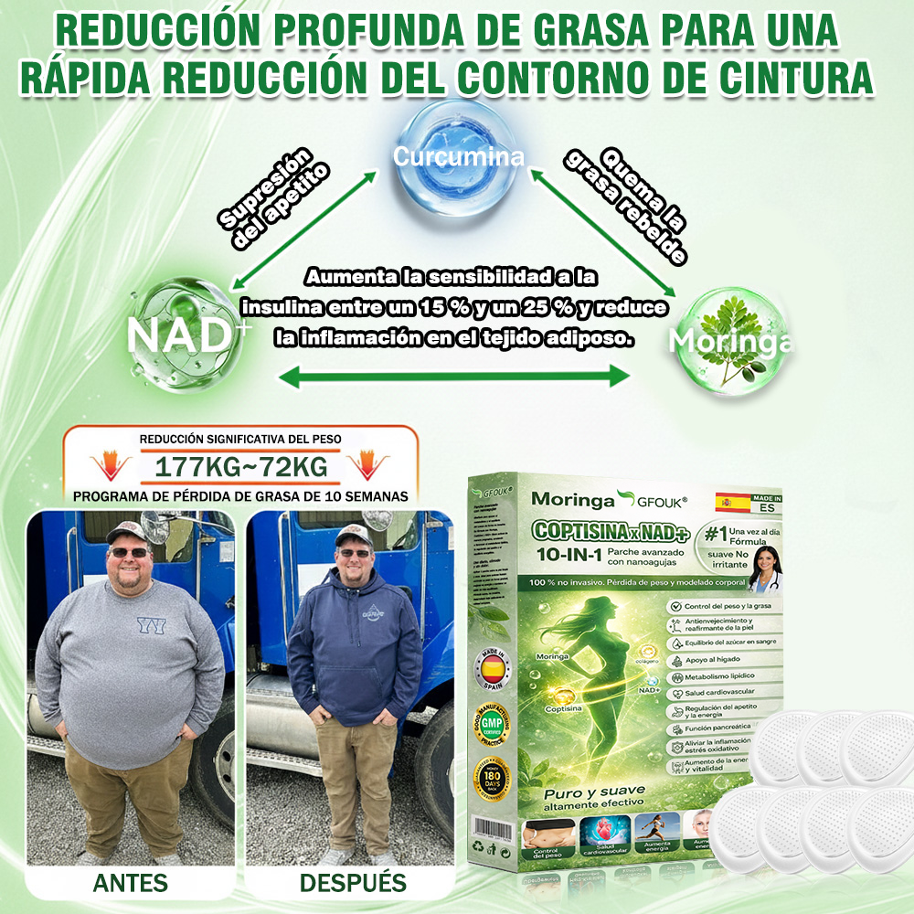 🇪🇸✨Conforme a la normativa aplicable en España y en la Unión Europea | 🧑‍⚕️ GFOUK® Moringa · Berberina × NAD+ Parche Avanzado de Nanomicroagujas 10 en 1 |  Respaldado por la ciencia | Fórmula 10 en 1 |  Resultados visibles en 7 días ✅