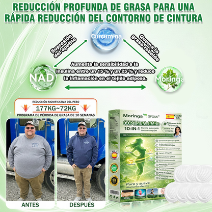 🇪🇸✨Conforme a la normativa aplicable en España y en la Unión Europea | 🧑‍⚕️ GFOUK® Moringa · Berberina × NAD+ Parche Avanzado de Nanomicroagujas 10 en 1 |  Respaldado por la ciencia | Fórmula 10 en 1 |  Resultados visibles en 7 días ✅