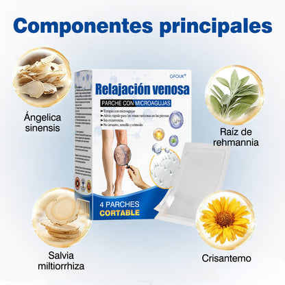 🇪🇸👨‍⚕️✅Parche de microagujas GFOUK® VeinEase para el cuidado de las venas⚡Alivio instantáneo, resultados a largo plazo