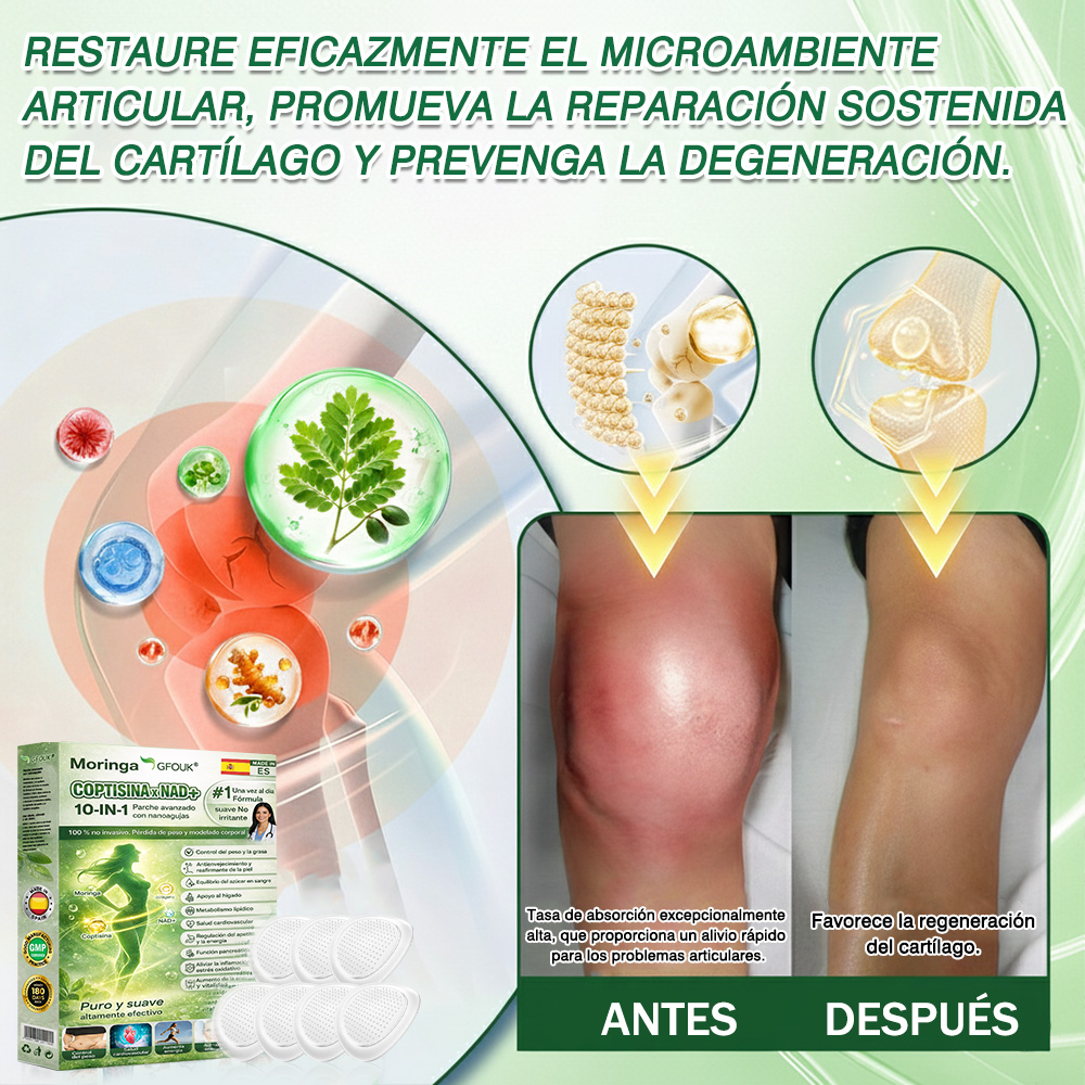 🇪🇸✨Conforme a la normativa aplicable en España y en la Unión Europea | 🧑‍⚕️ GFOUK® Moringa · Berberina × NAD+ Parche Avanzado de Nanomicroagujas 10 en 1 |  Respaldado por la ciencia | Fórmula 10 en 1 |  Resultados visibles en 7 días ✅
