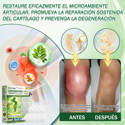 🇪🇸✨Conforme a la normativa aplicable en España y en la Unión Europea | 🧑‍⚕️ GFOUK® Moringa · Berberina × NAD+ Parche Avanzado de Nanomicroagujas 10 en 1 |  Respaldado por la ciencia | Fórmula 10 en 1 |  Resultados visibles en 7 días ✅
