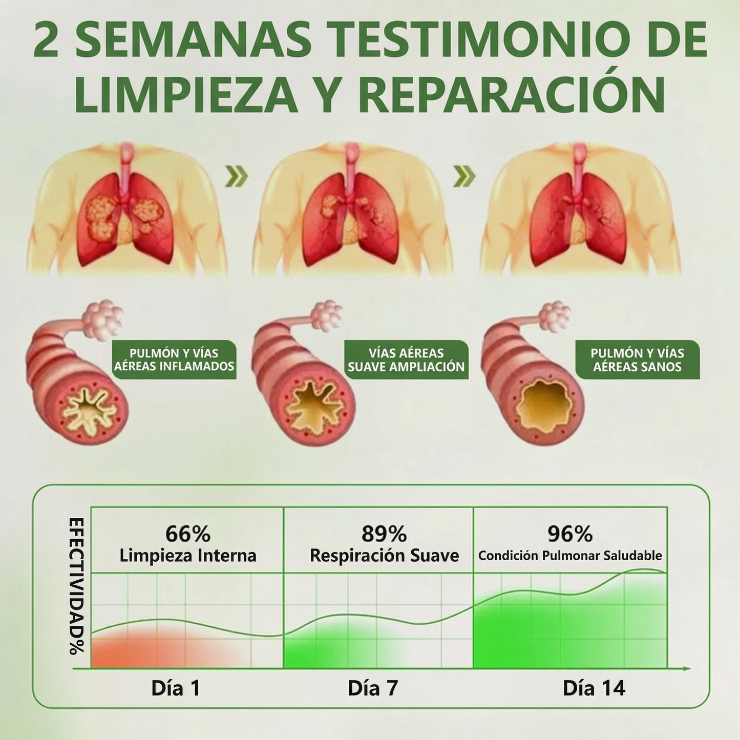 🇪🇸🍃GFOUK® 🚀 BOTÁNICO CUIDADO PULMONAR DIFUSOR DE GORDOLOBO 🔥