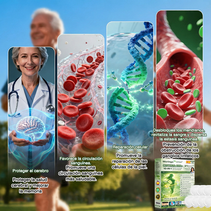 🇪🇸✨Conforme a la normativa aplicable en España y en la Unión Europea | 🧑‍⚕️ GFOUK® Moringa · Berberina × NAD+ Parche Avanzado de Nanomicroagujas 10 en 1 |  Respaldado por la ciencia | Fórmula 10 en 1 |  Resultados visibles en 7 días ✅