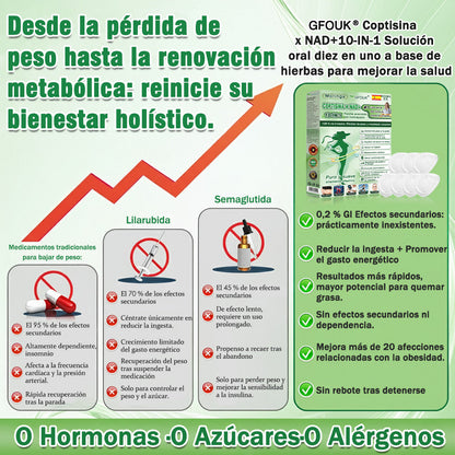 🔥Conforme a la normativa aplicable en España y en la Unión Europea |  GFOUK® Moringa · Berberina × NAD+ Parche Avanzado de Nanomicroagujas 10 en 1 |  Respaldado por la ciencia | Fórmula 10 en 1 |  Resultados visibles en 7 días ✅