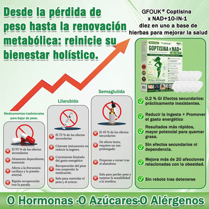 🔥🔥Conforme a la normativa aplicable en España y en la Unión Europea | 🧑‍⚕️ GFOUK® Moringa · Berberina × NAD+ Parche Avanzado de Nanomicroagujas 10 en 1 |  Respaldado por la ciencia | Fórmula 10 en 1 |  Resultados visibles en 7 días ✅